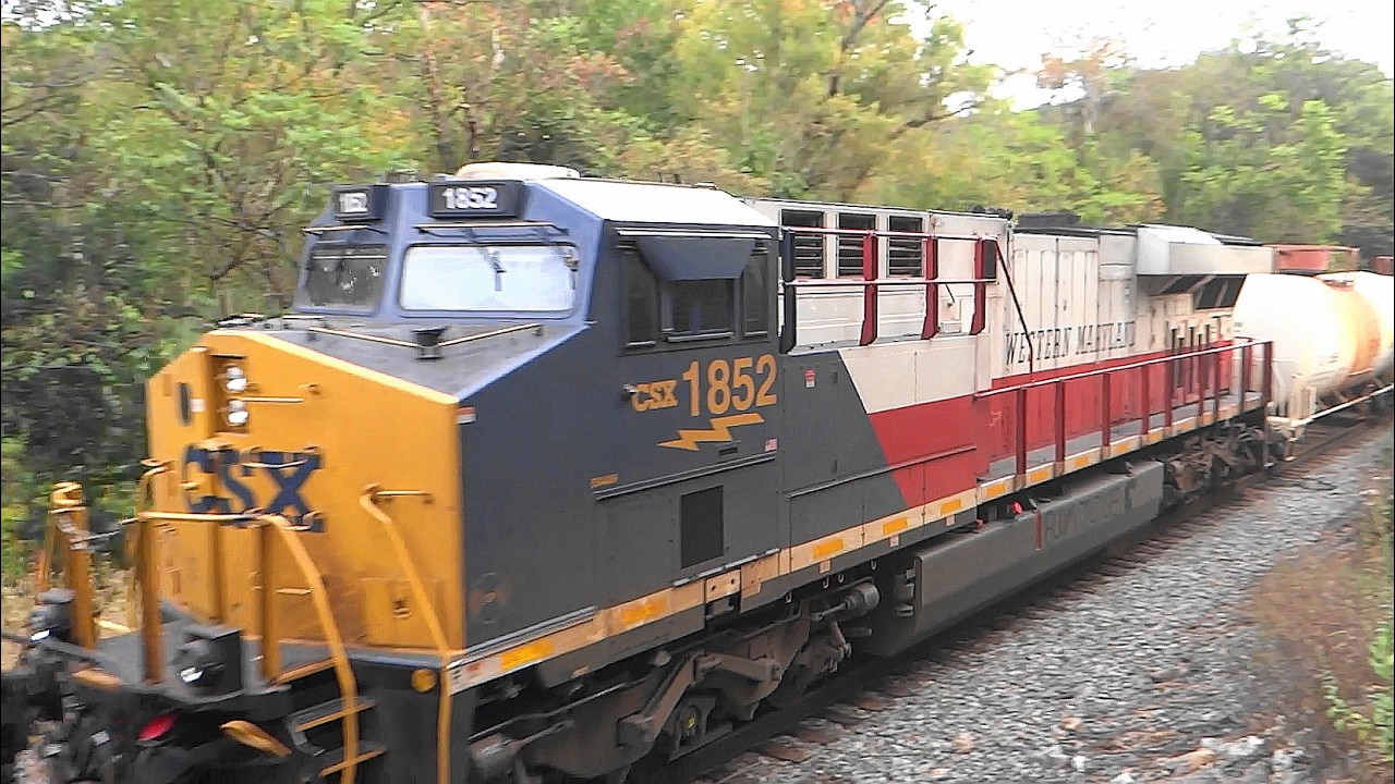 🐛🦌 Lots of Trains at Different Locations 🚄