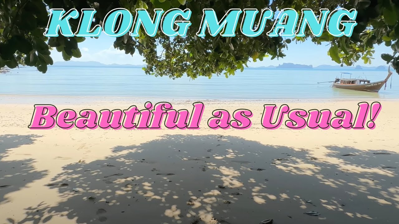 Klong Muang Beach - Happy Dog Company