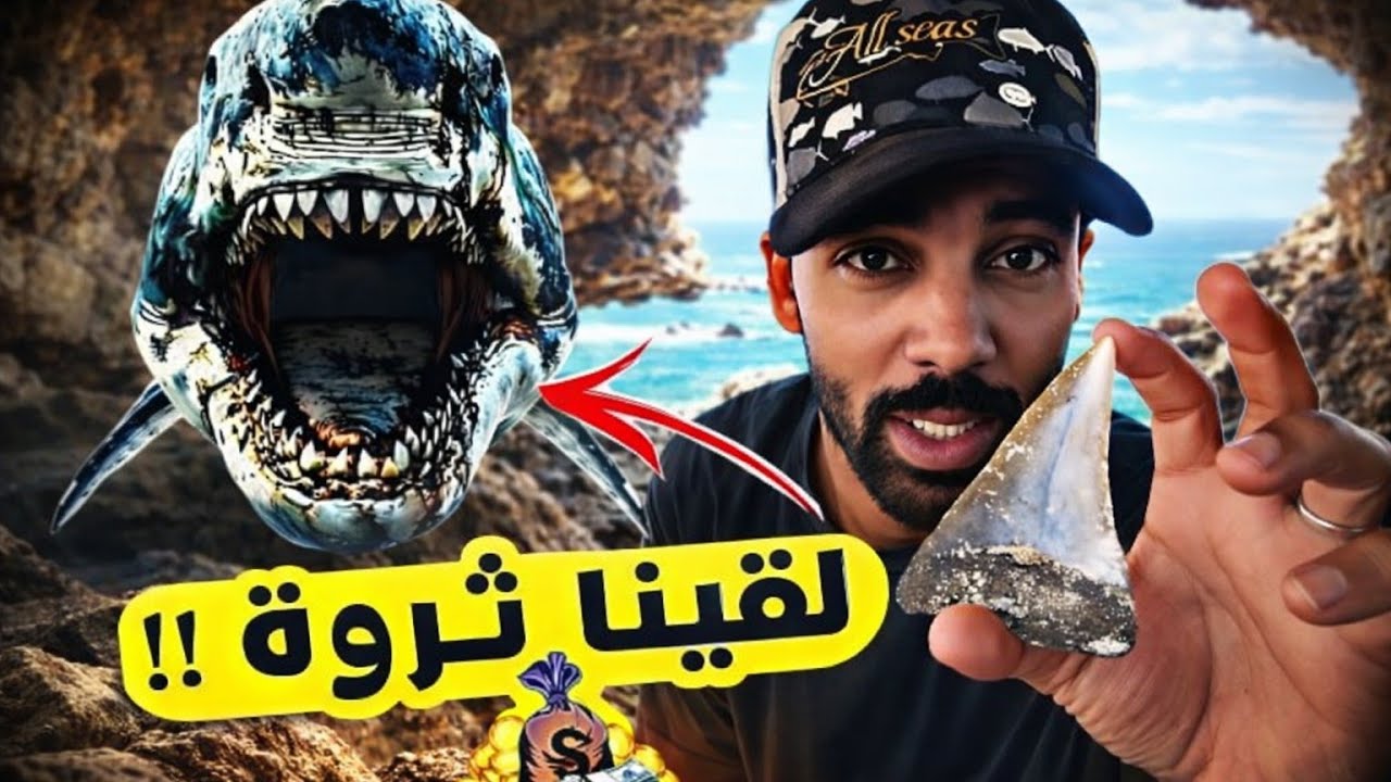 صادفنا أنياب ضخمة جنب البحر !!!!وملي بحثنا على سعر ديالها تصدمنا؟؟!!!