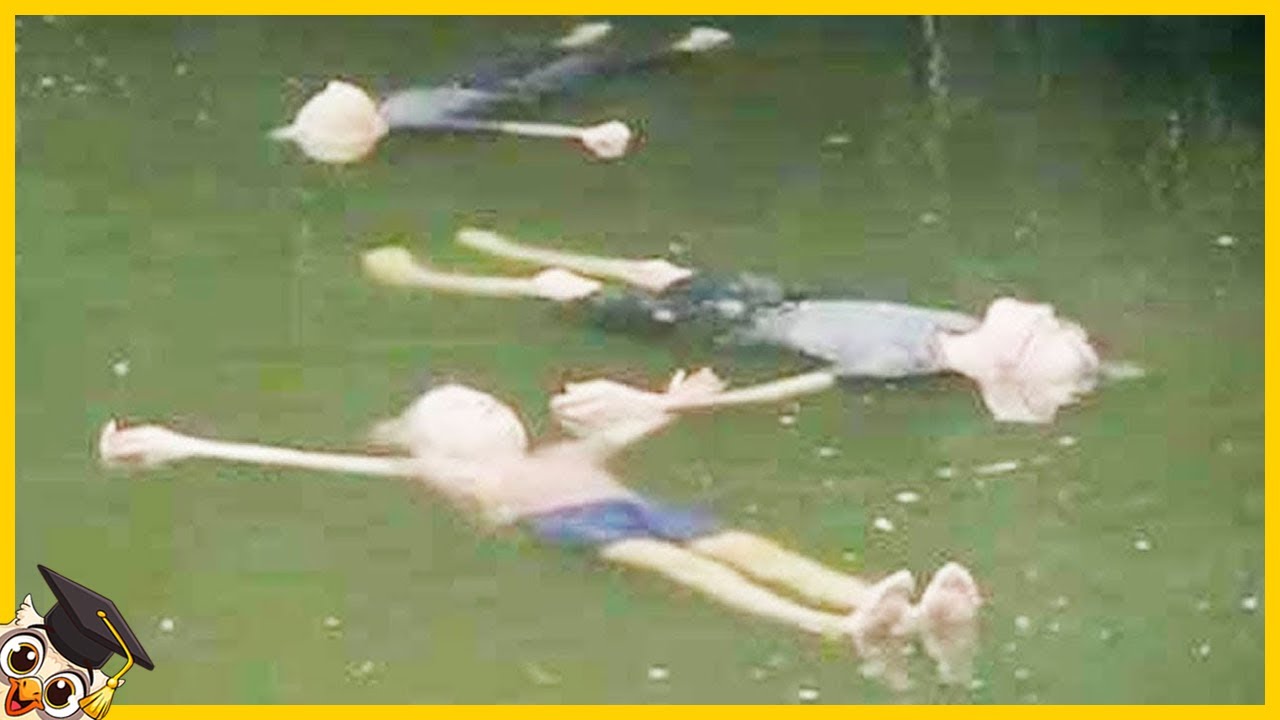 20 Cosas más Terroríficas Encontradas en los Ríos