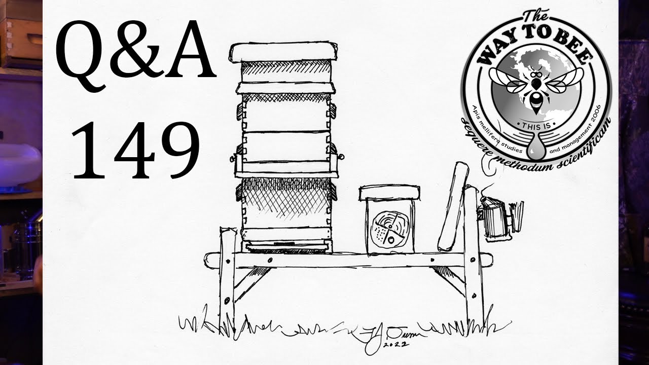 Backyard Beekeeping Questions and Answers 149 My Favorite Beginner Beehive Configuration and more!