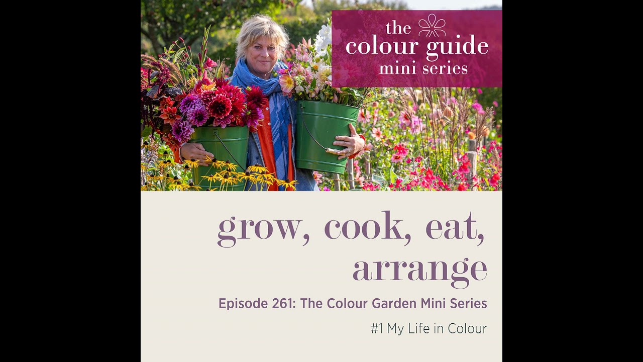 The Colour Guide Mini Series #1: My life in colour  - Episode 261
