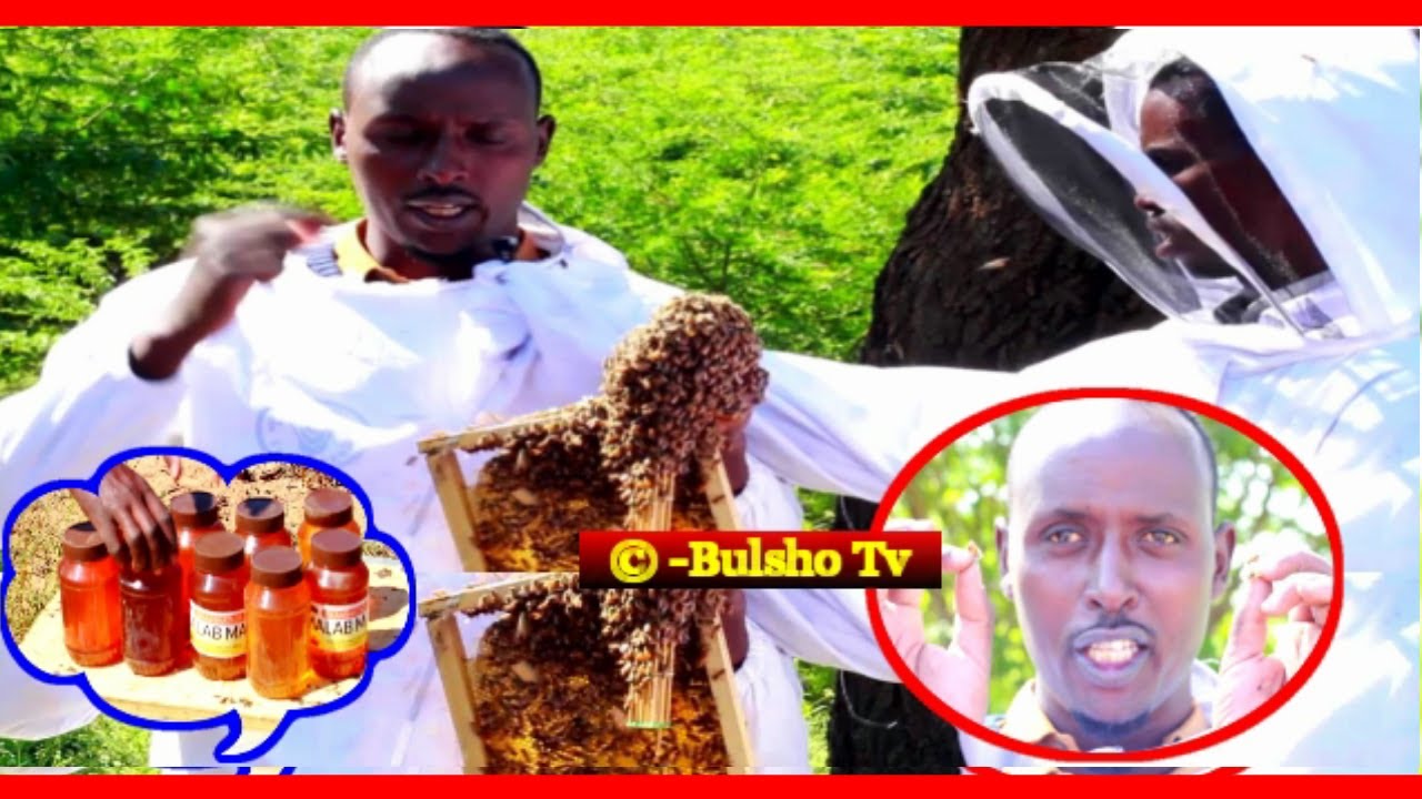 Warbixin:- Nin 20 Sano La Nool Shini Iyo Ujeedada