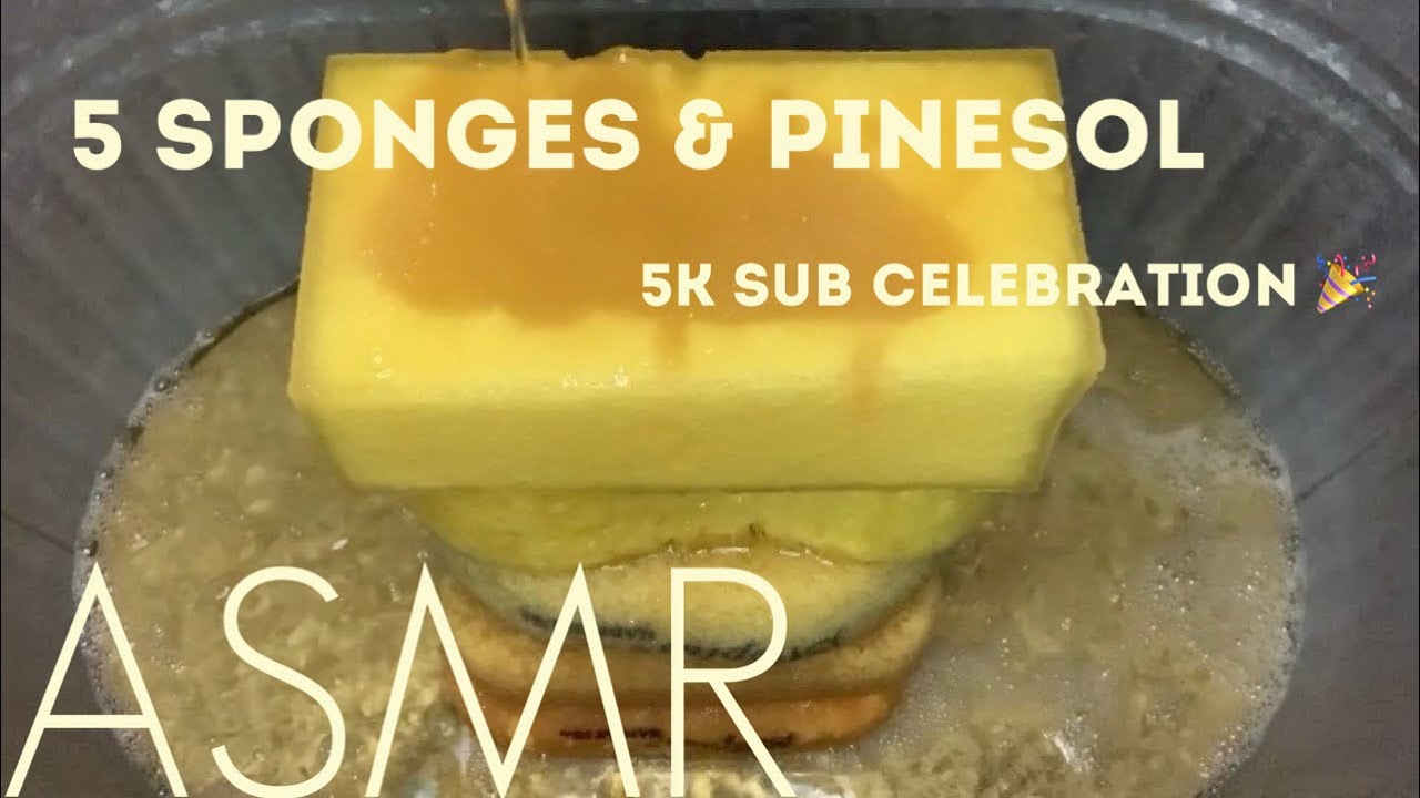 5 Sponges & One Pinesol Jug - Part One || 5K Subscriber Celebration 🎉