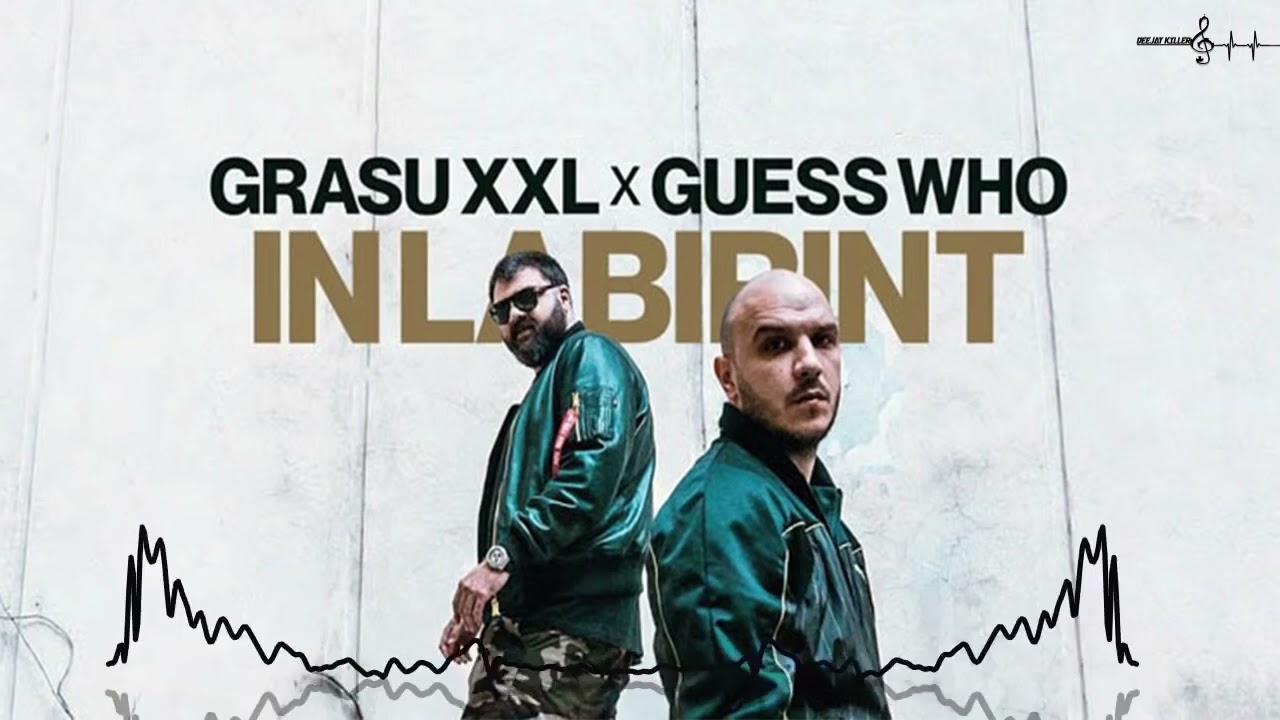 Grasu XXL ❌ Guess Who - Soareci In Labirint | Deejay Killer Remix