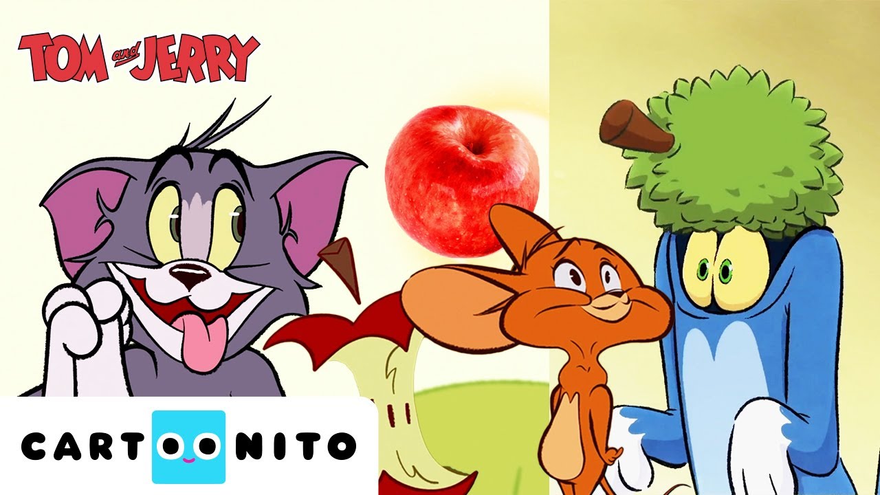 Grandes Aventuras para Pequenos Aprendizes! 📚🐭 Compilação Tom e Jerry | Tom e Jerry | Cartoonito