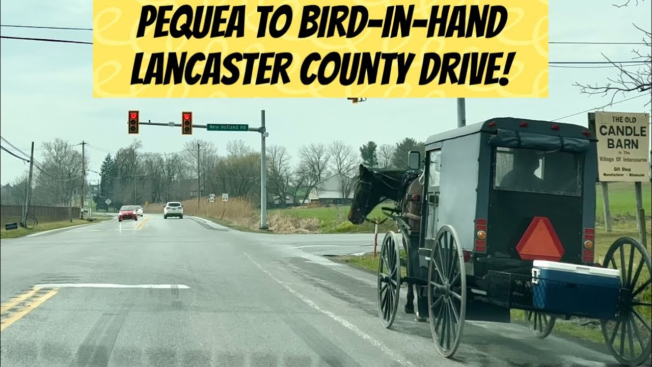 Pequea to Bird-in-Hand Lancaster County Drive via Route 340!