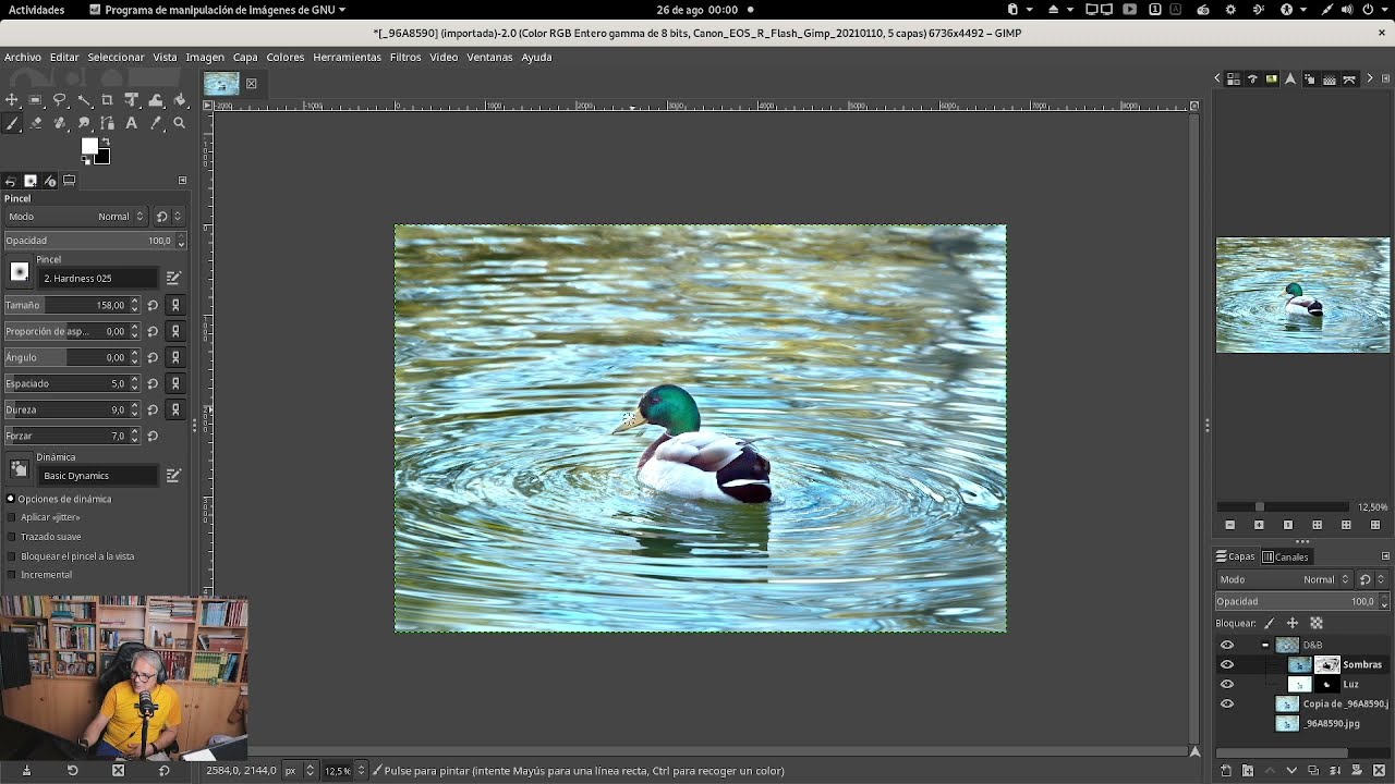 Gimp: Dodge and burn con curvas