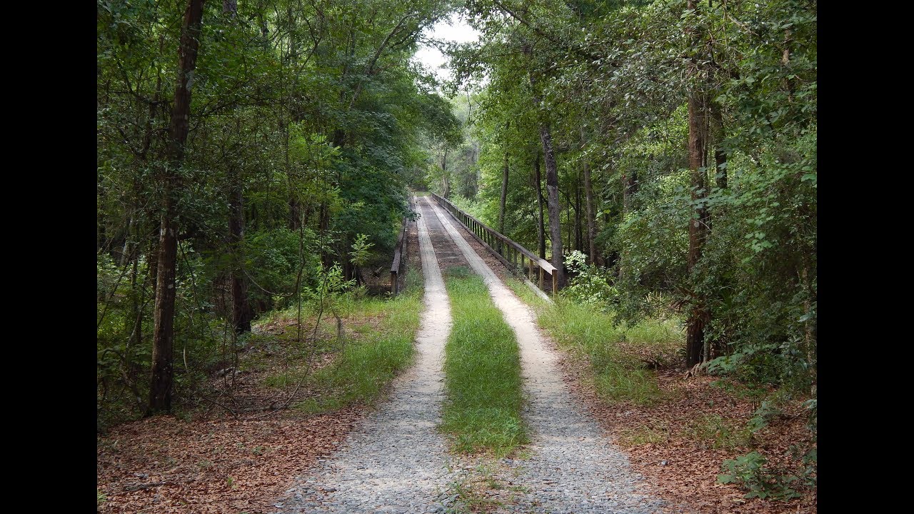 Griffin Ridge WMA Dirt Road  July 7th 2019 #griffinridge