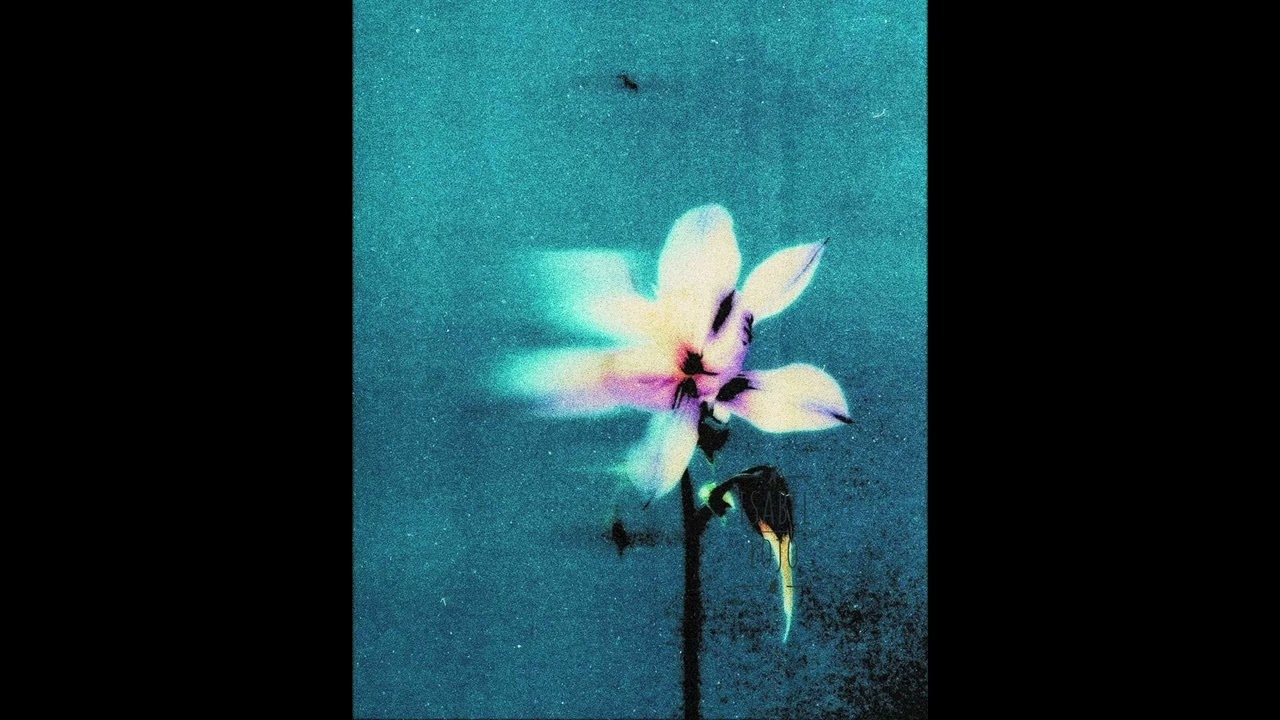 Ariane Bonzini x Disiz Chill Type beat 