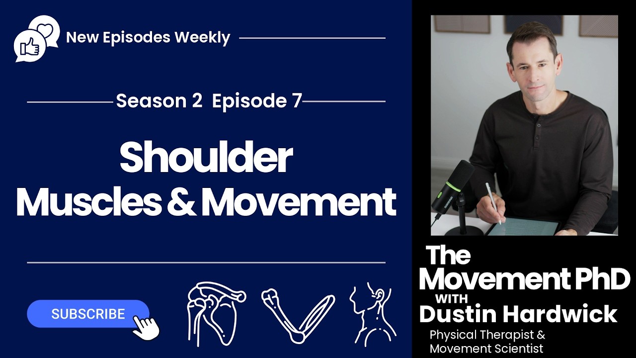 Shoulder: Muscles and Movement