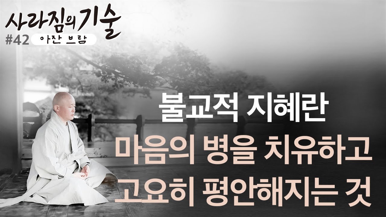 불교적 지혜는 마음의 병과 상처를 치유하고 마음이 고요히 평화로워지는 것 | 진정한 지혜 알아차리기ㅣ사라짐의 기술 42강ㅣ혜안스님