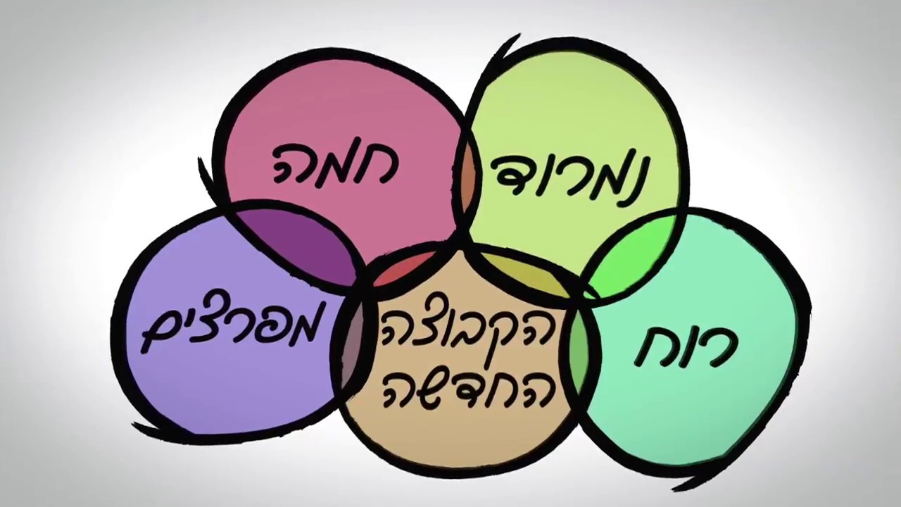 סרטון תדמית קיבוץ פלך 2017