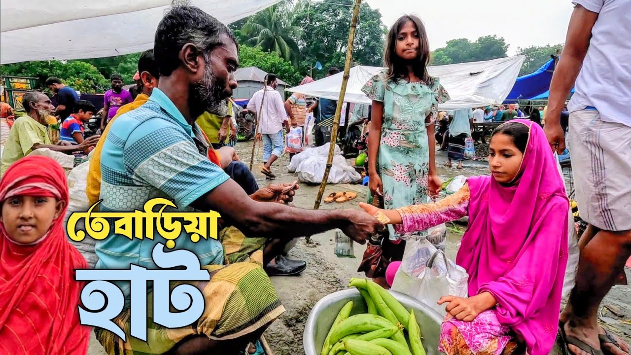 টাঙ্গাইল নাগরপুরের ঐতিহ্যবাহী তেবাড়িয়া হাট | যমুনাপাড়ের গ্রামীণ হাট | Tebaria Haat | Rural market