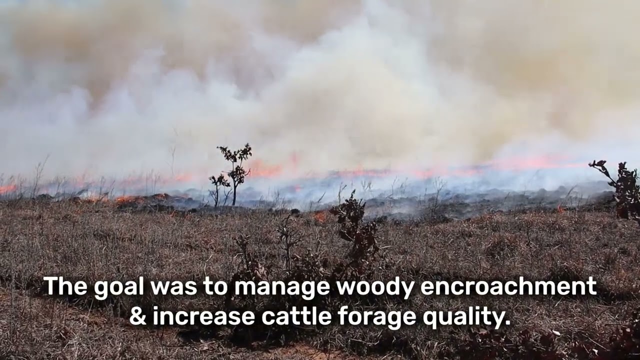 Timely Prescribed Fire Limited Wildfire Spread near Stillwater, Oklahoma!