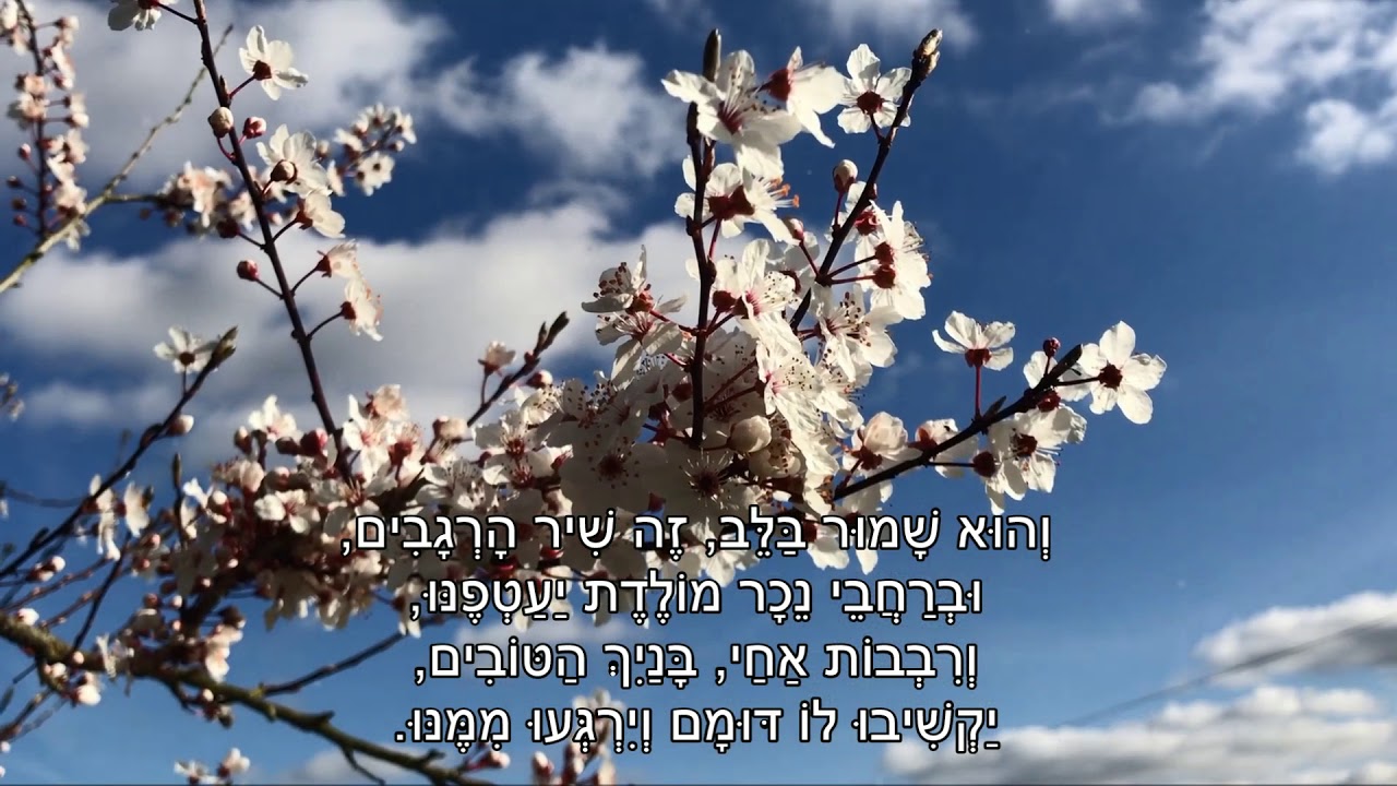 שיר עד - שיר ההודיה - מילים ולחן: מרדכי זעירא | ביצוע: רונית אופיר - Ronit Ophir