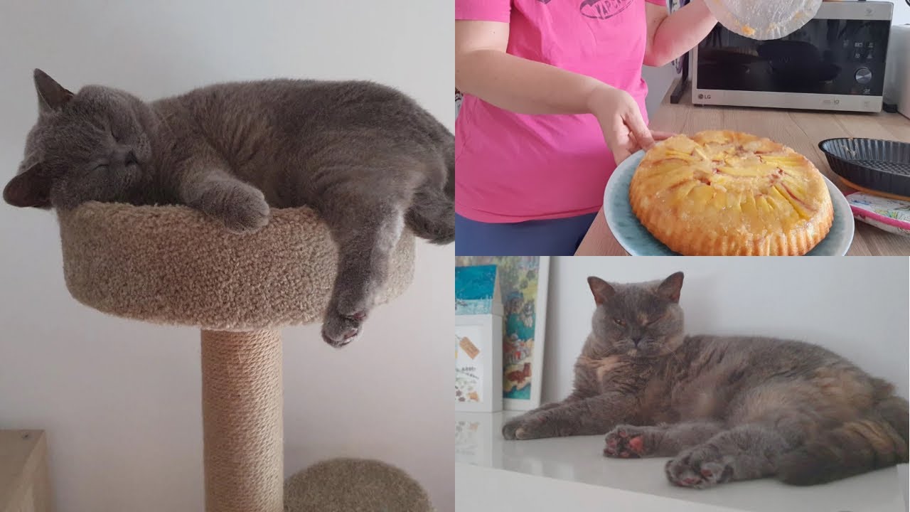 Giornata tranquilla di lavoretti e torta di pesche noci