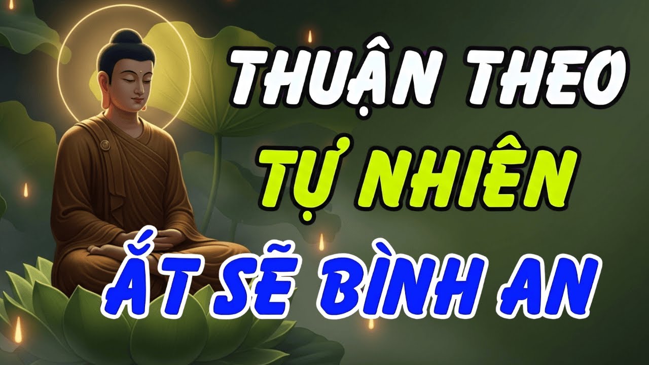 Ngưng Suy Nghĩ, Bớt Lo Âu: Thấm Thía Lời Phật Dạy Về Sự Buông Xả Để Có Giấc Ngủ An Lành