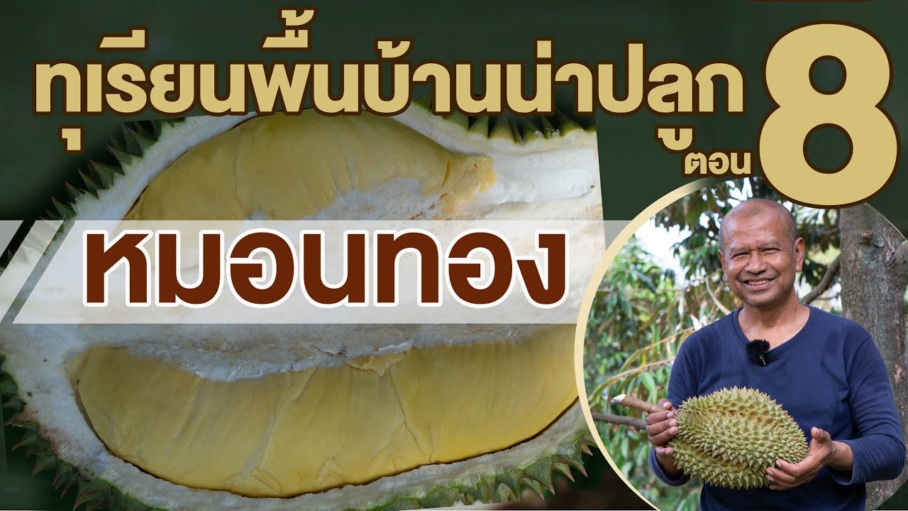 สวนตาก้าน ('66) : แนะนำทุเรียนน่าปลูก ตอน 8 