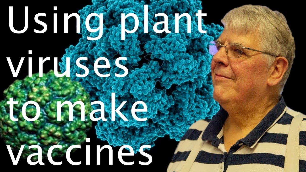 Making new vaccines from plant viruses - George Lomonossoff