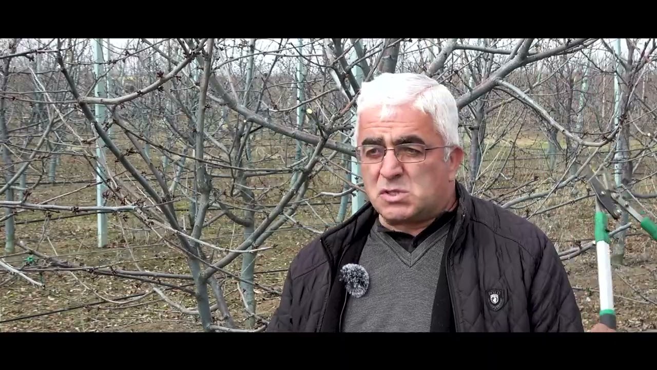 ბლის გახსვლა 21.02.2022