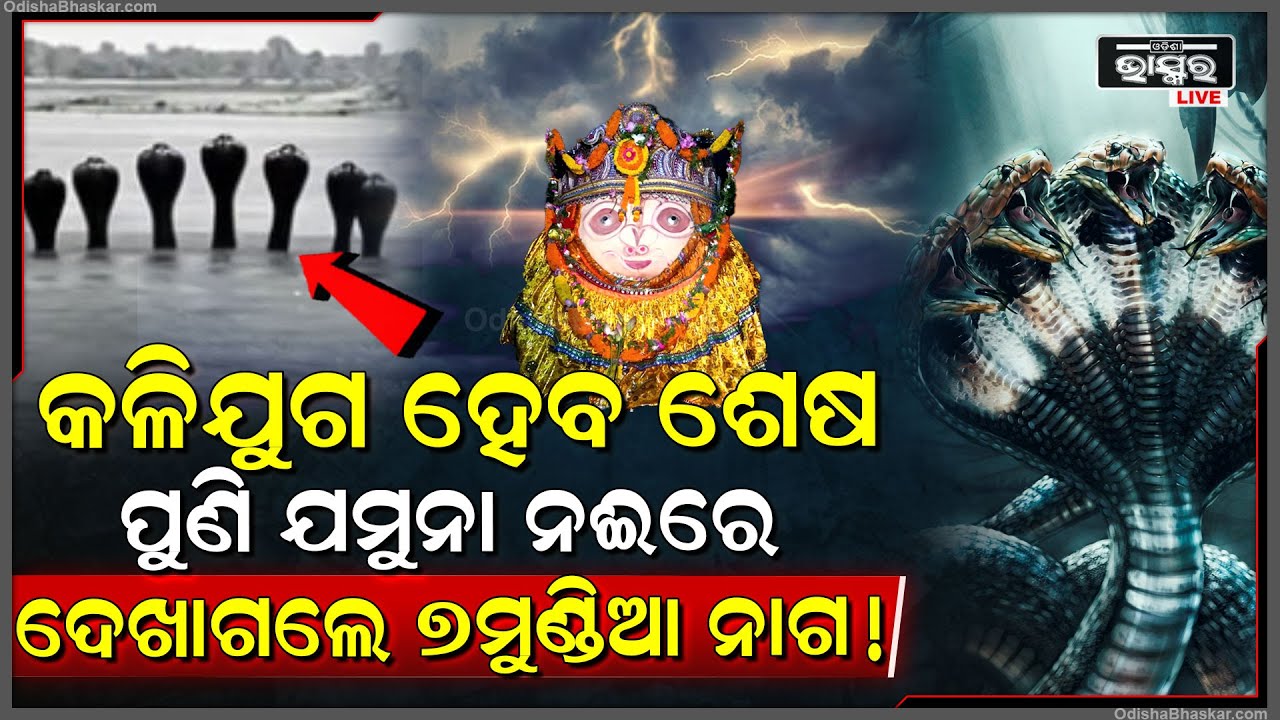 କଳିଯୁଗ ହେବକି ଶେଷ ! ଯମୁନାରେ ଦେଖାଦେଲା 7ମୁଣ୍ଡିଆ ସାପ .ସାମ୍ନାକୁ ଆସିଲା ଭୟାନକ ସତ  Reality of 7headed snake