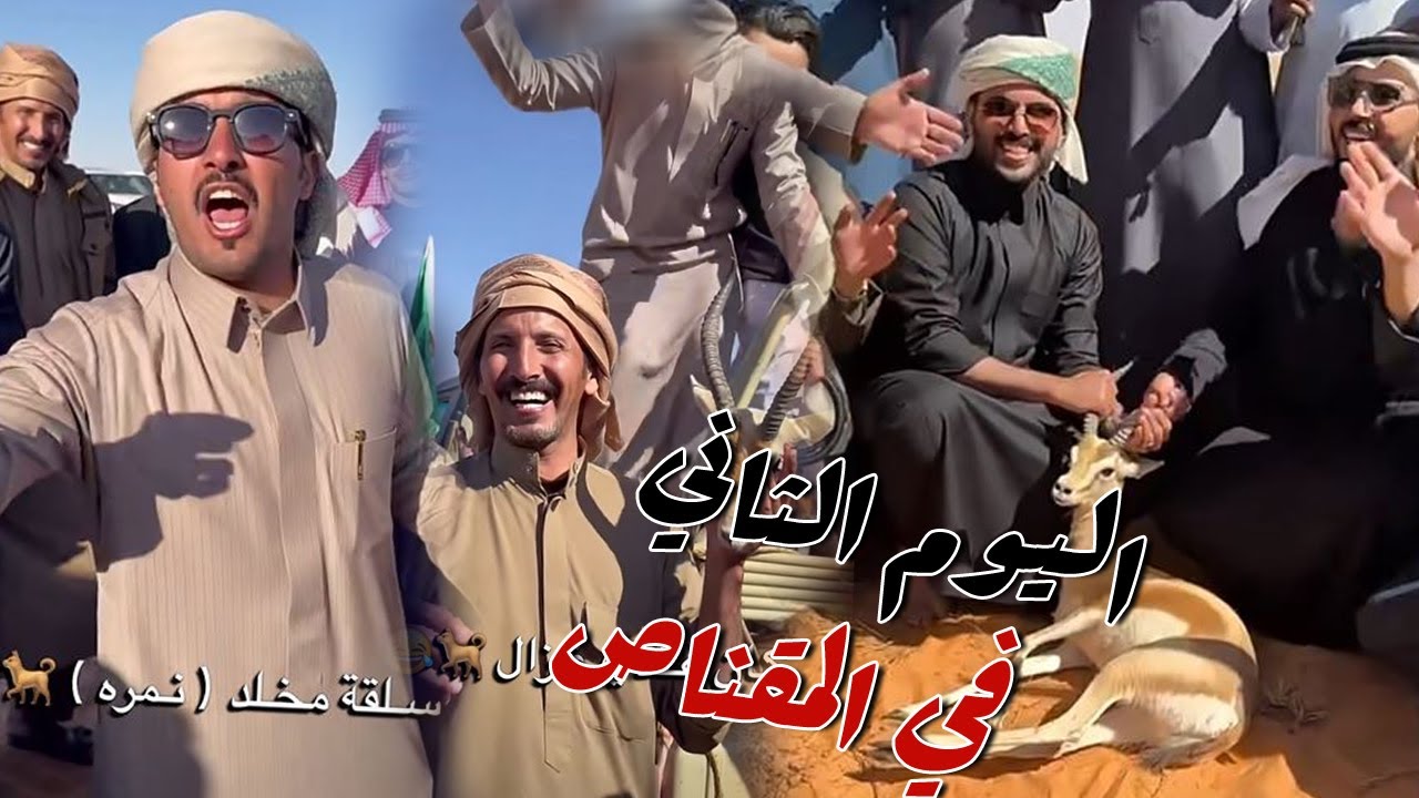 اليوم الثاني في مقناص  السعوديه في محميه الشمال