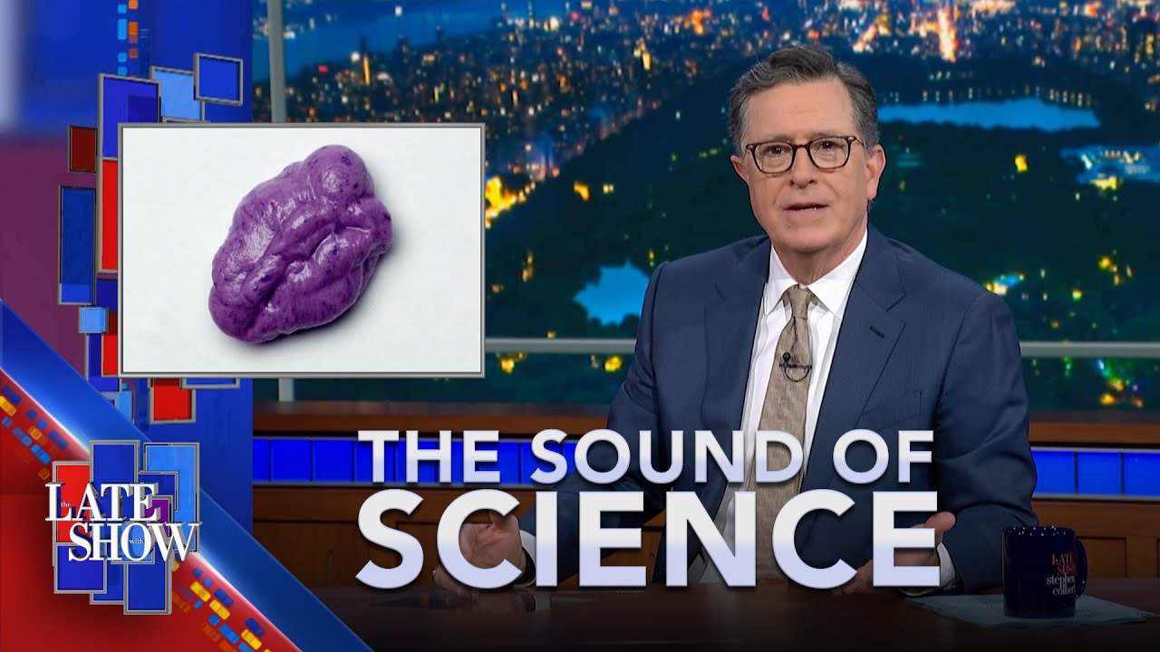 The Sound Of Science: Are Bald Men More Attractive? | Microplastics In Gum | Nature's Bone Collector