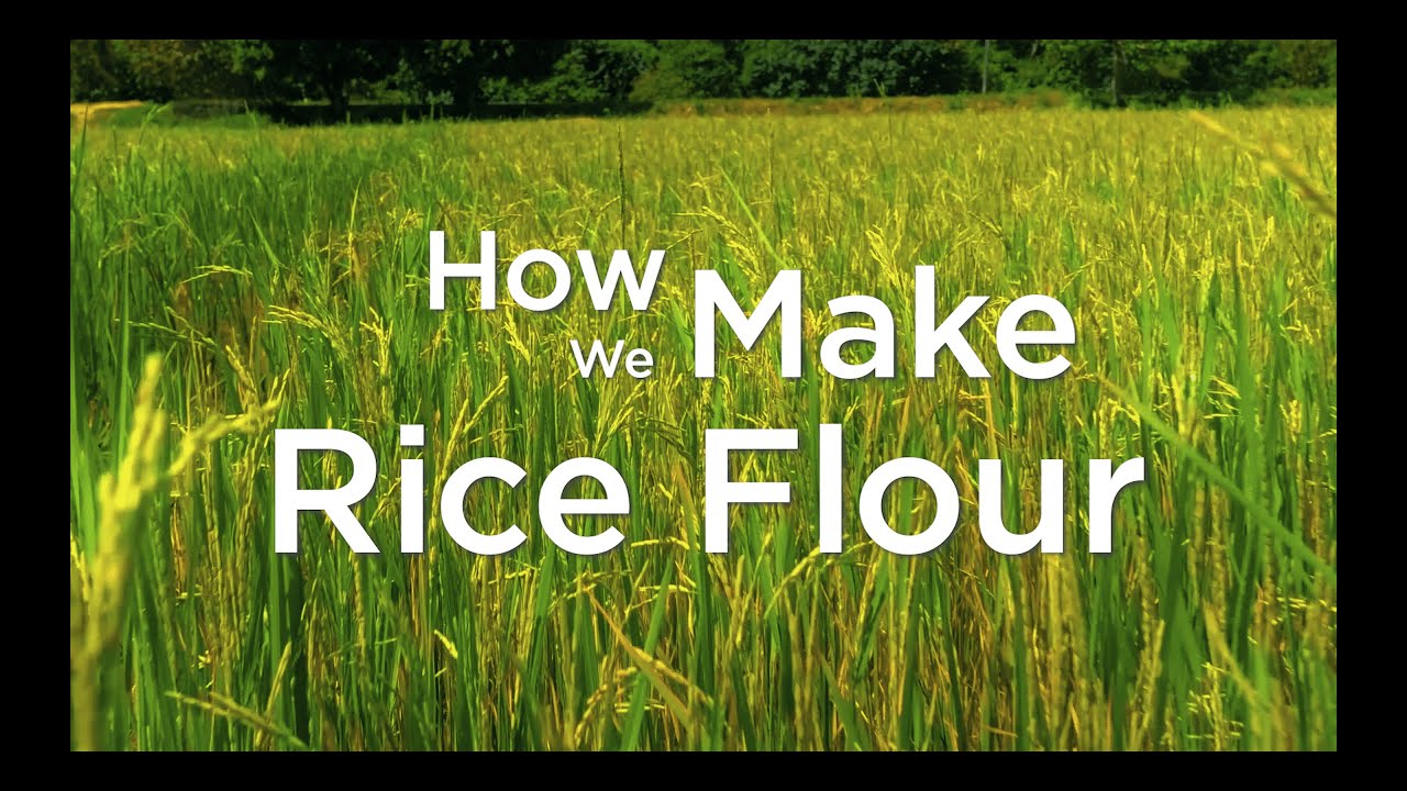 How To Make Rice Flour : Process with Modern Technology