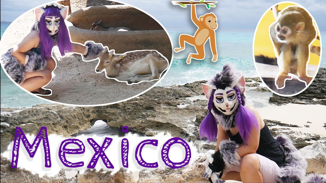 Mexico Pt.1 Monkey Sanctuary + More