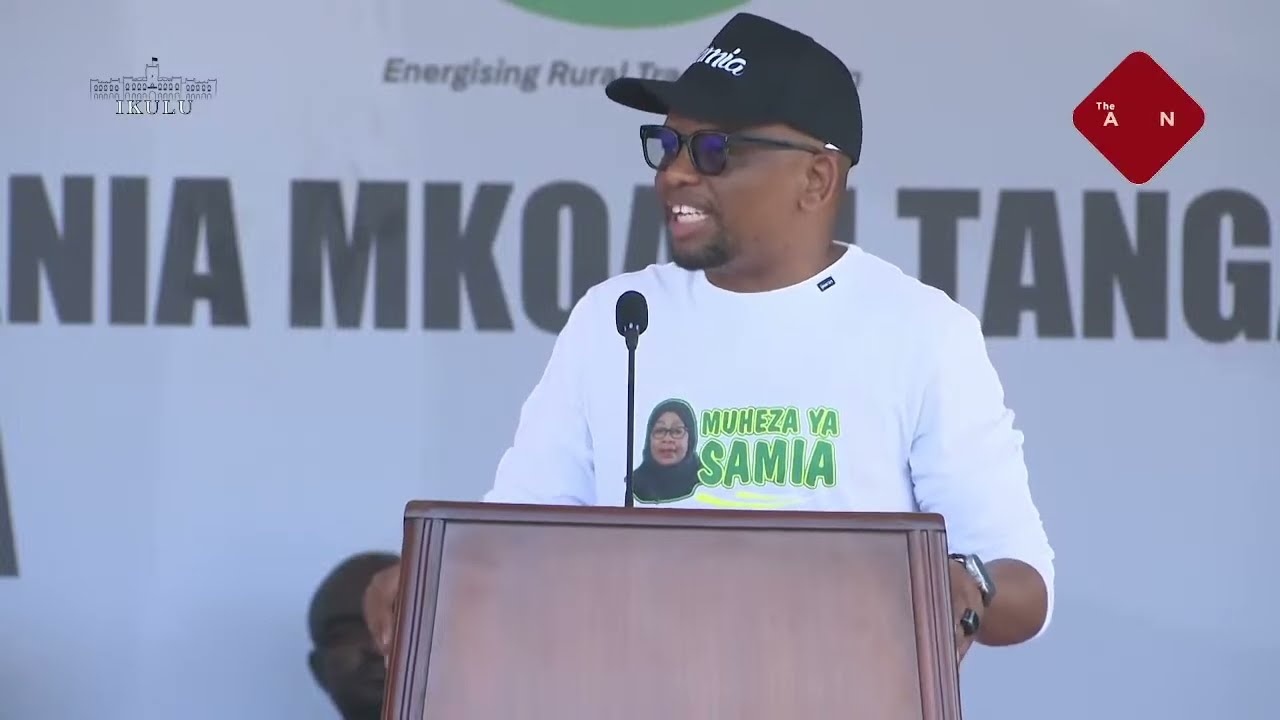 Mwana FA Mbele ya Samia: Ukimuona Kiongozi Ndio Unasema Shida Zako