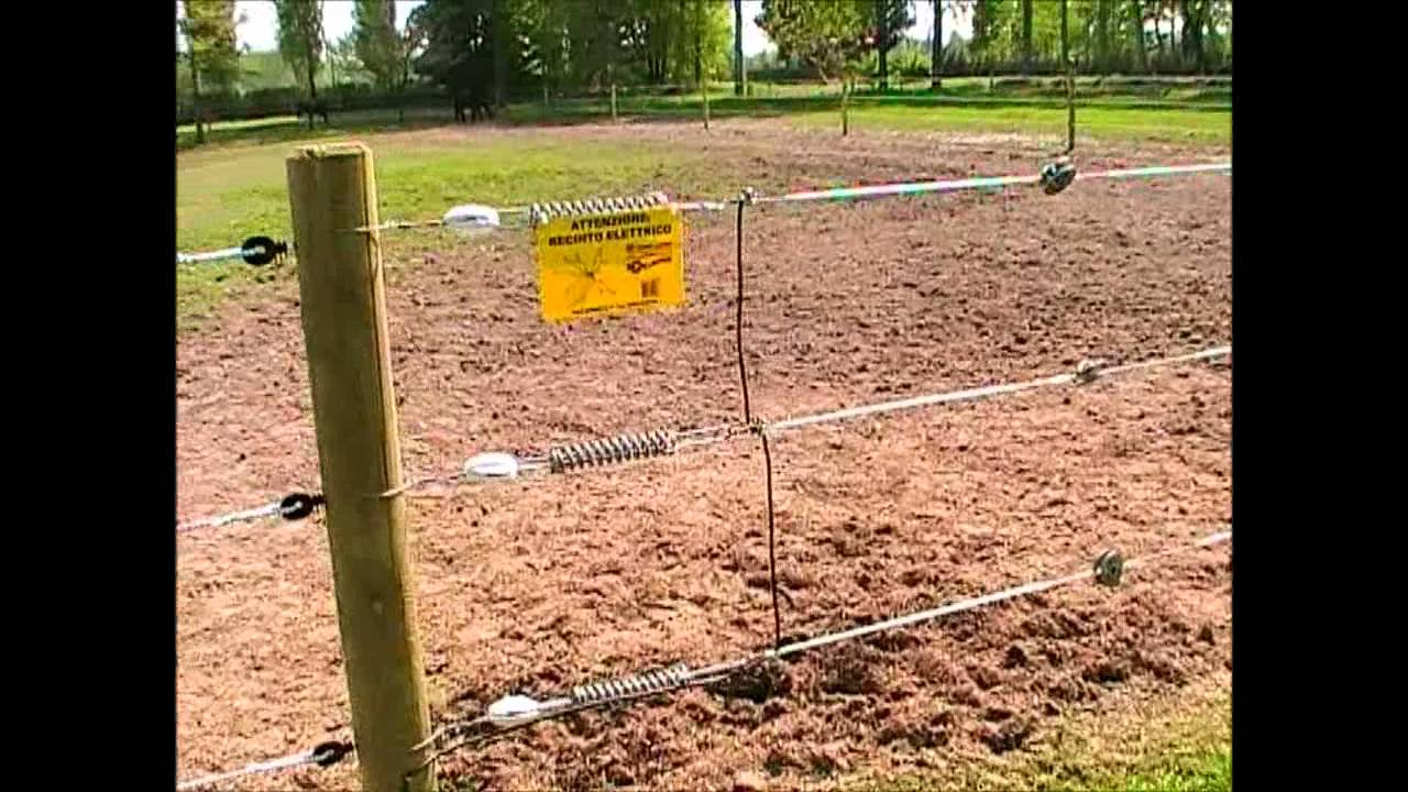 Recinzione elettrica con Equifence