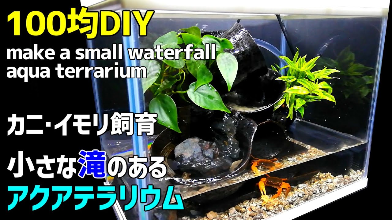 小さな滝のある【アクアテラリウム】の作り方/サワガニ・イモリ飼育水槽/カニリウム・イモリウムに最適な滝の作り方