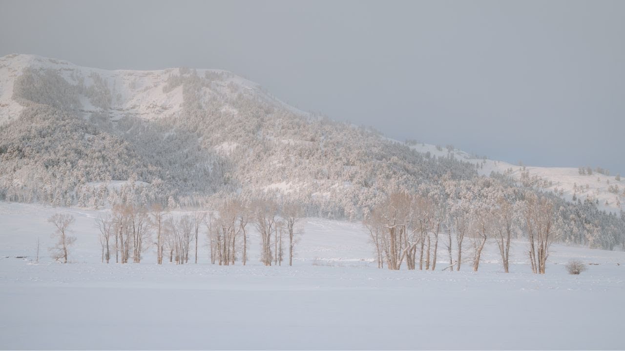 Winter photography in Yellowstone