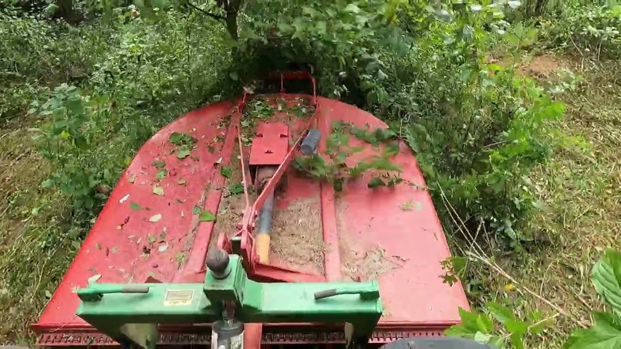 Bushhogging roads and food plots