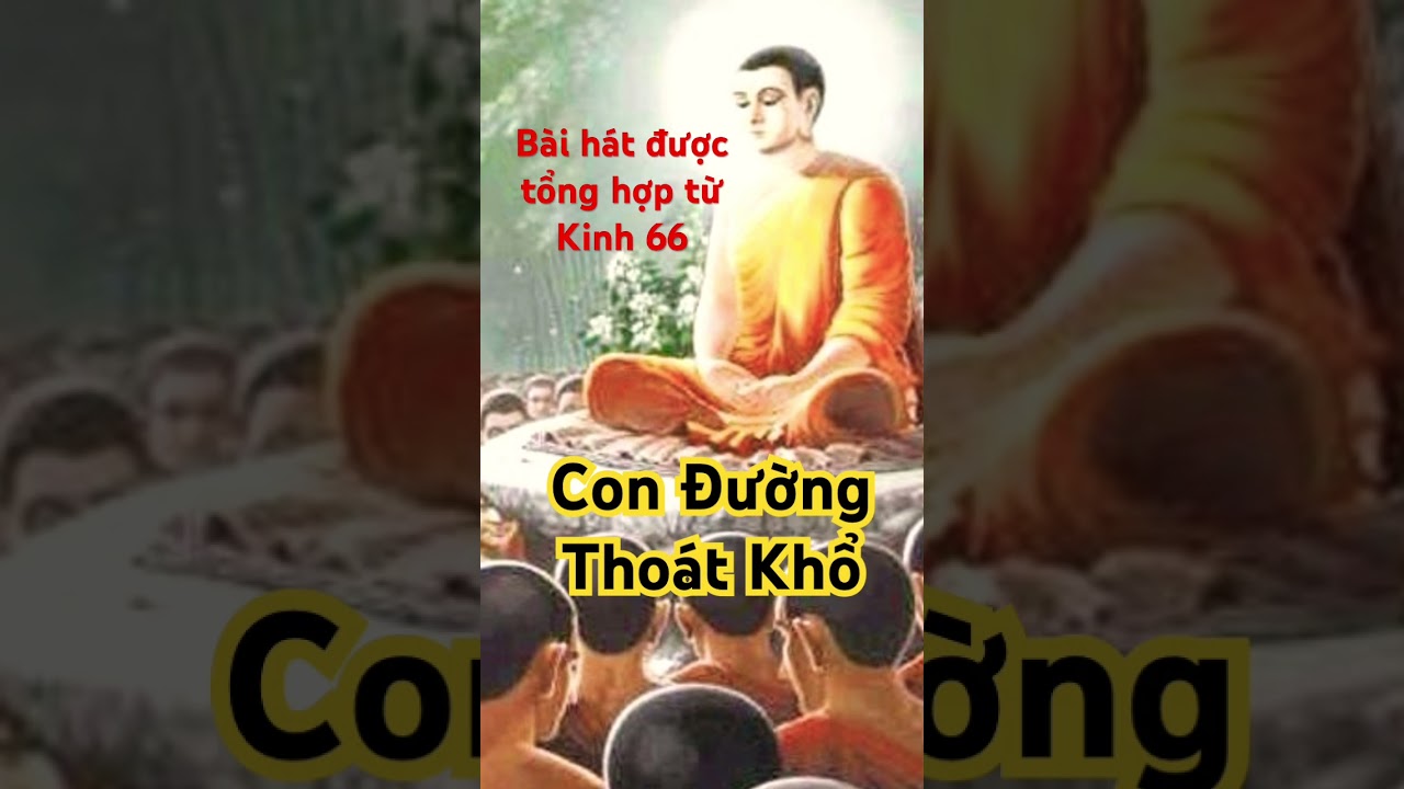 B&agrave;i H&aacute;t Tỉnh Thức Từ B&agrave;i Kinh 66 #kinh66 #thichgiackhang #phatphap #nhacphatgiao