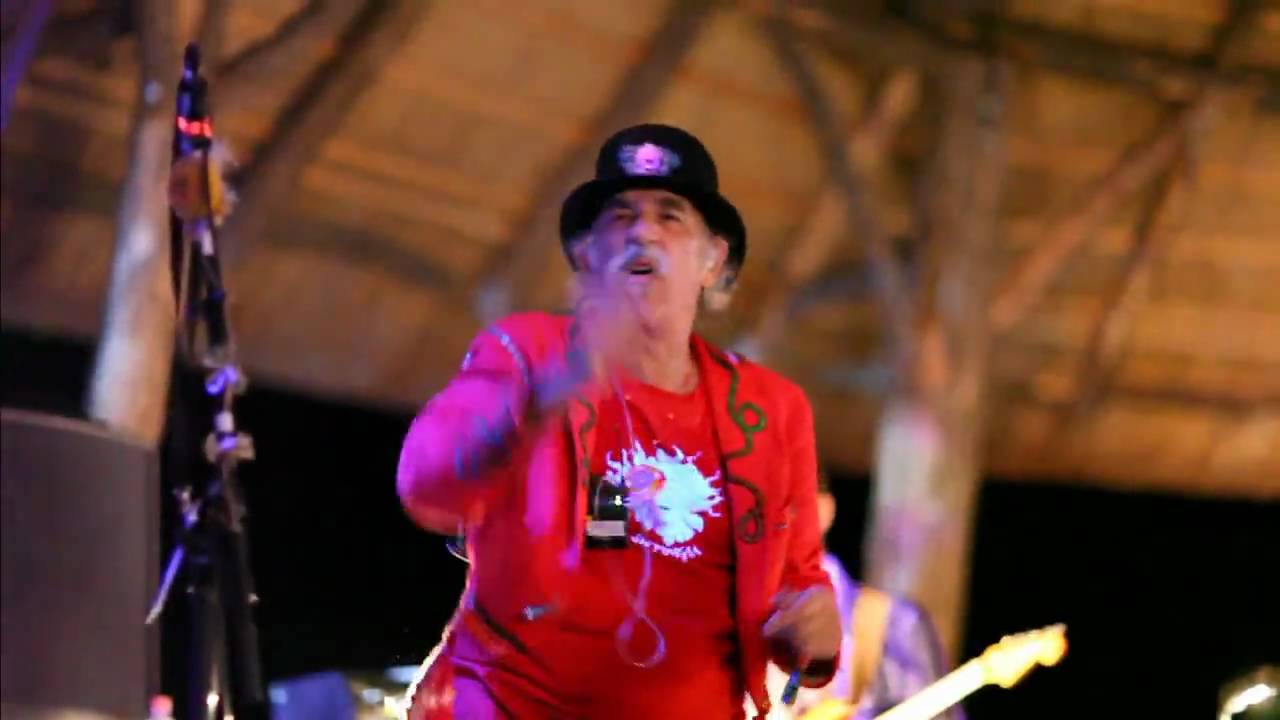 Shpongle - DMT  - Ozora 2009 HD