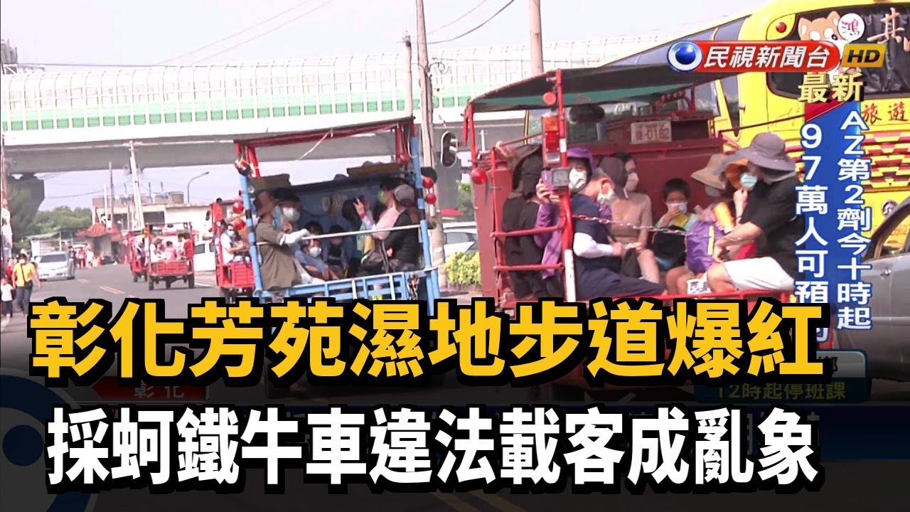 彰化芳苑濕地步道爆紅 採蚵鐵牛車違法載客成亂象－民視新聞