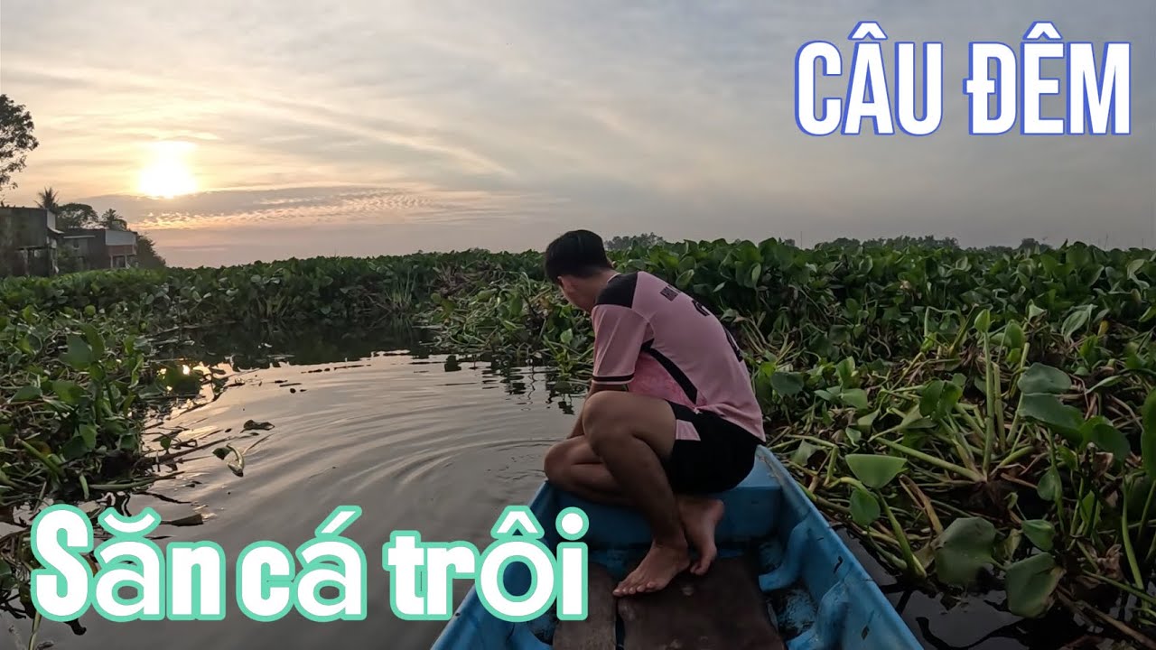 Hành trình săn cá trôi khủng ở Búng Bình Thiên 