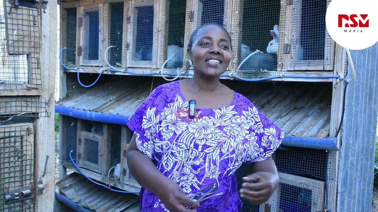 TAZAMA MAKALA MAALUMU YA BIBI SUNGURA MFUGAJI WA SUNGURA.