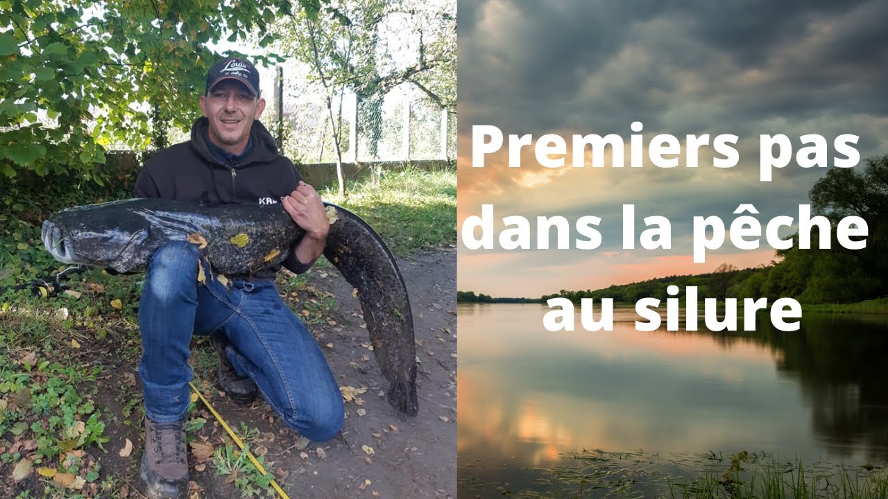 Silure en Alsace 2020 Silure fishing
