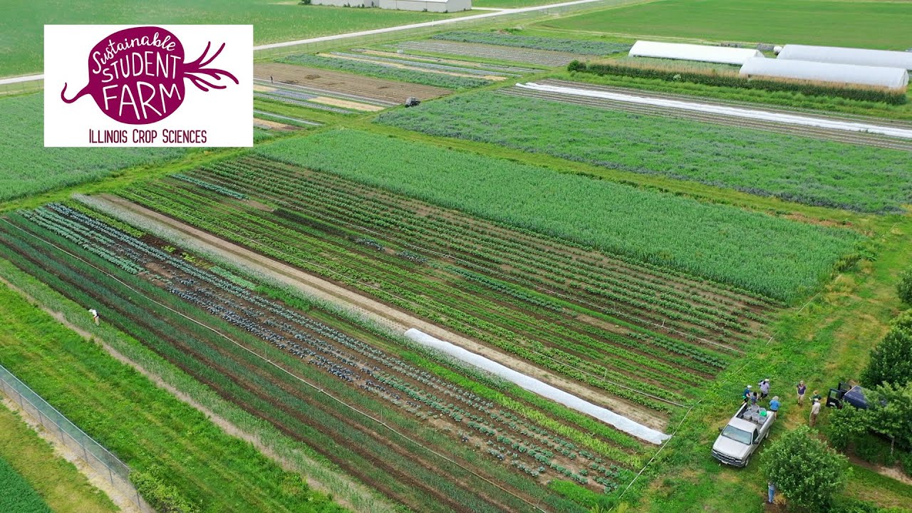 Sustainable Student Farm at The University of Illinois