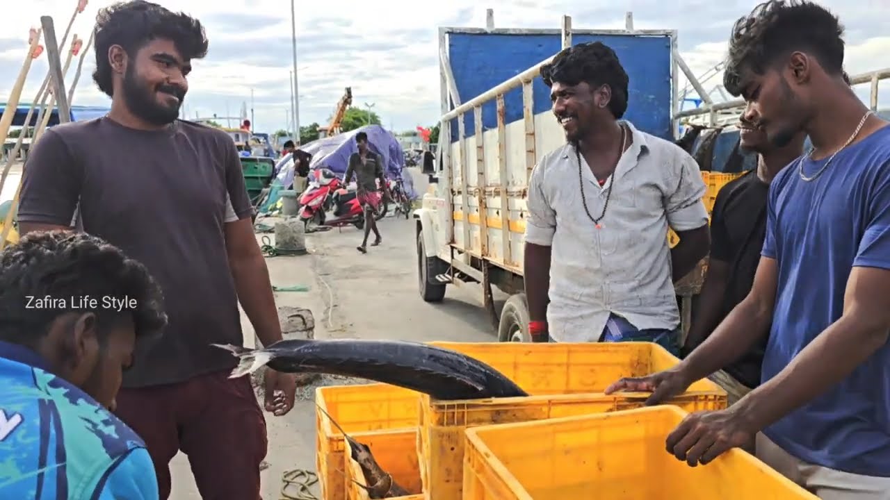 இன்னைக்கு மீன் வாங்க தூத்துக்குடி தருவைகுளம் ஹார்பருக்கு போறோம்|Thoothukudi Tharuvaikulam Harbor.