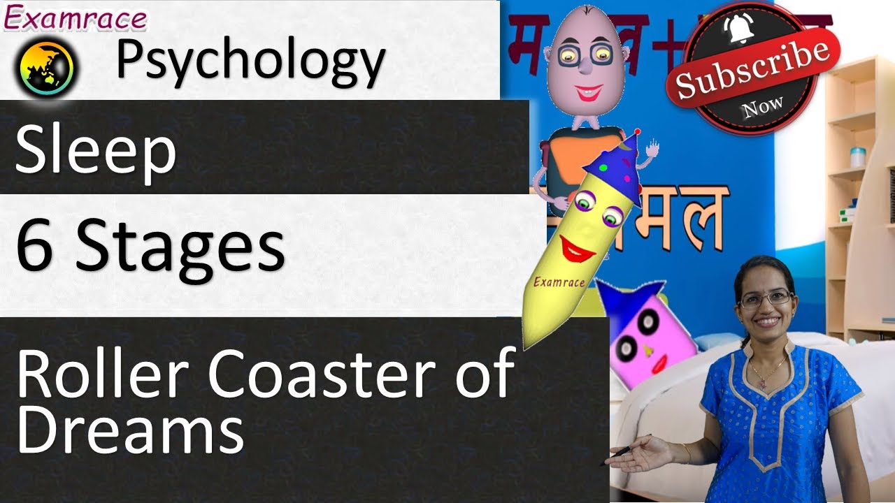 6 Stages of Sleep & 3 Biological Reasons for Sleep - Roller Coaster of Dreams