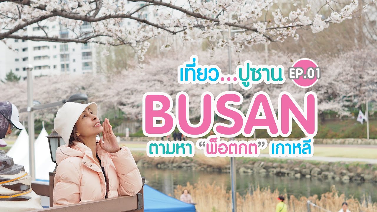 เที่ยวเกาหลี : ตามหาพ็อตกตเกาหลี ที่เมืองปูซาน  (Ep.1)