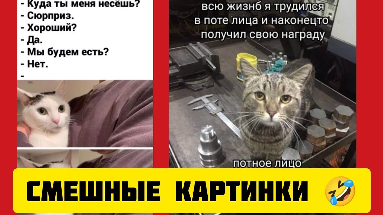 - Куда ты меня несёшь?- Сюрприз👍.- Хороший?- Да.- Мы будем есть🍕?- Нет.ТОГДА ЭТО ПЛОХОЙ СЮРПРИЗ🤣