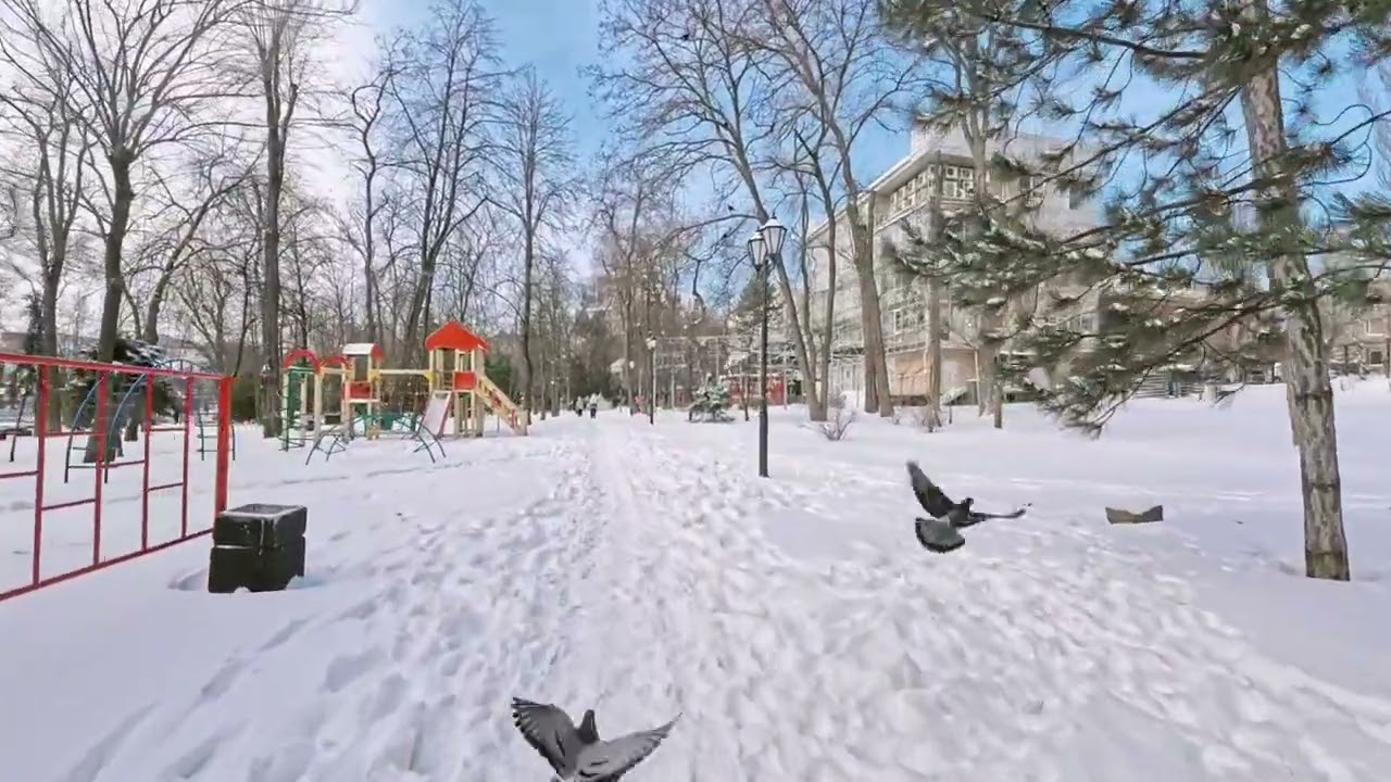 Ростов-на-Дону. Зимняя прогулка по Парку 1 Мая