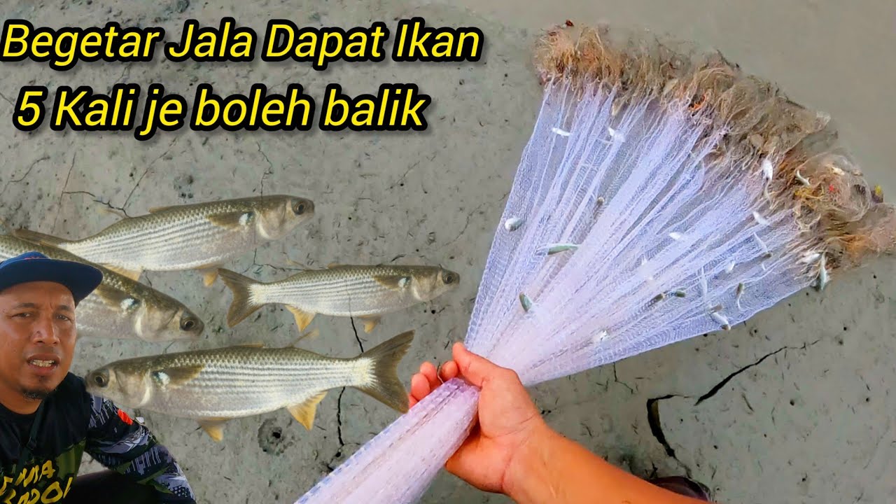 Menjala Belannak Di Pulau indah #gengdunia 