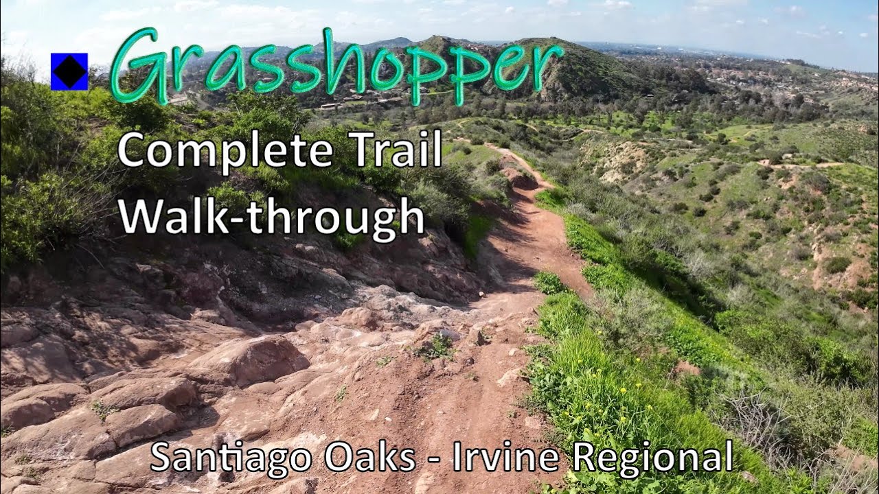 Grasshopper Trail Walkthrough & Breakdown - Intermediate Blue Features