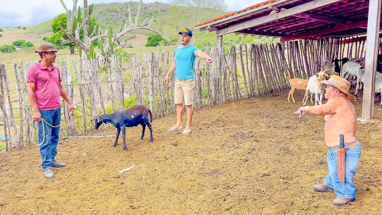 VAQUEIRO VENDE OS CARNEIROS DE PILILIU SEM ELE SABER | PILILIU DA RESENHA